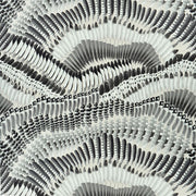 Pret moi ta plume - Jais