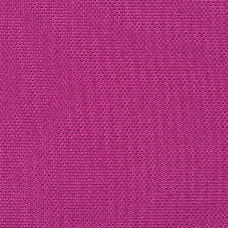 Salt Marsh - Fuchsia