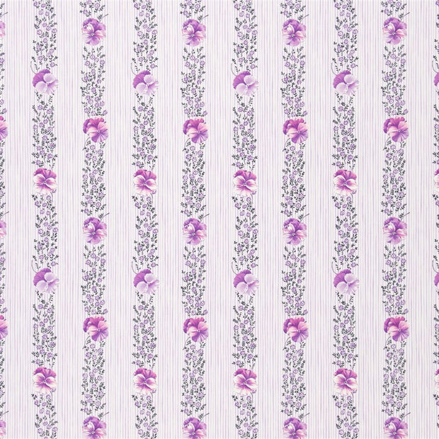 Pansy Stripe - Crocus