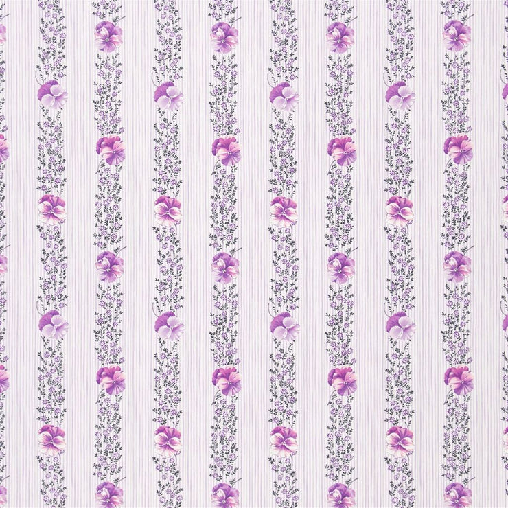 Pansy Stripe - Crocus