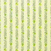 Pansy Stripe - Apple