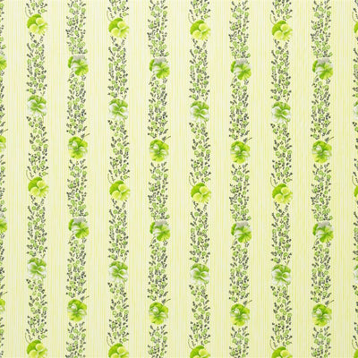 Pansy Stripe - Apple