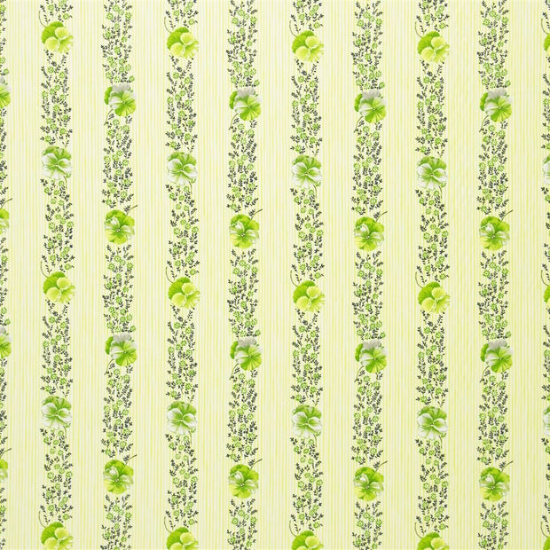 Pansy Stripe - Apple