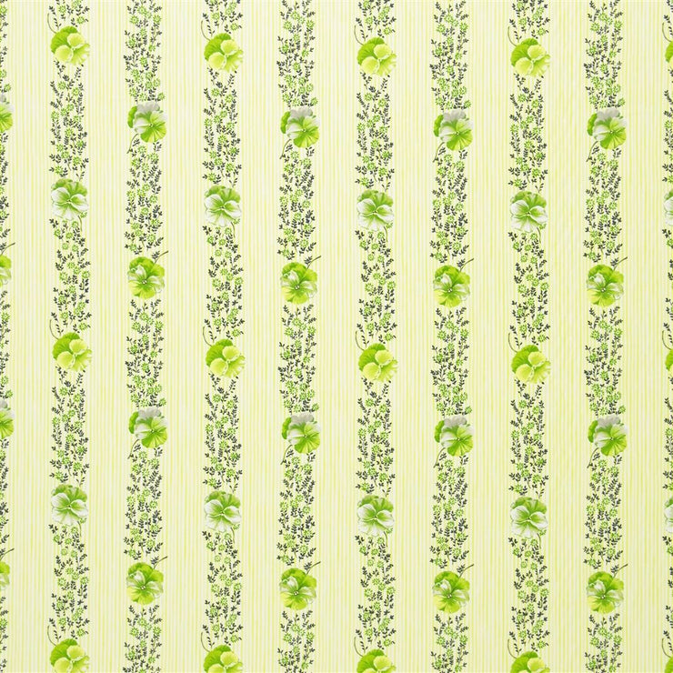 Pansy Stripe - Apple