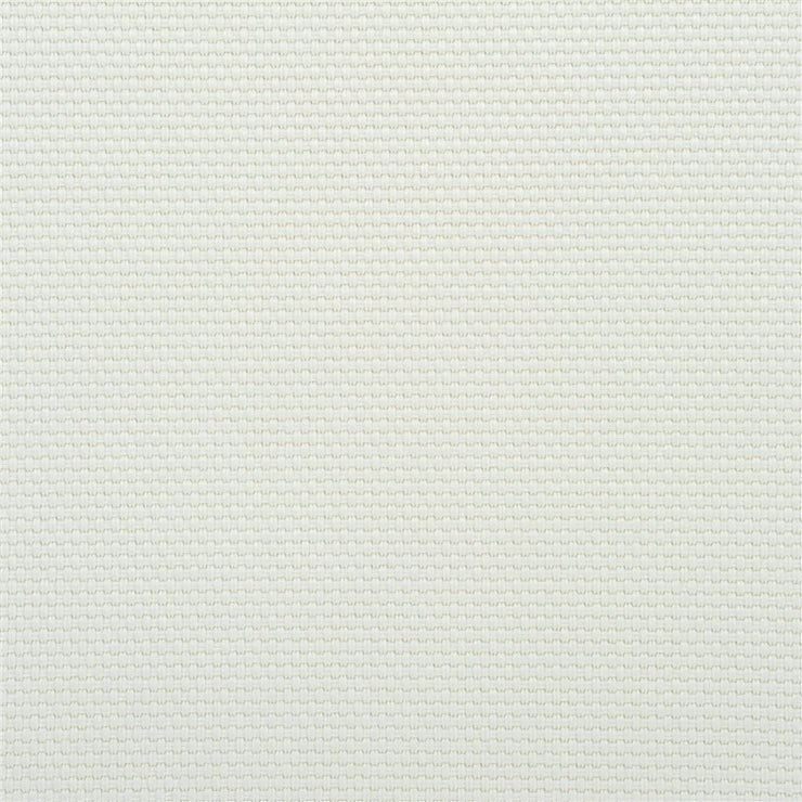 Salt Marsh - Sunbleached