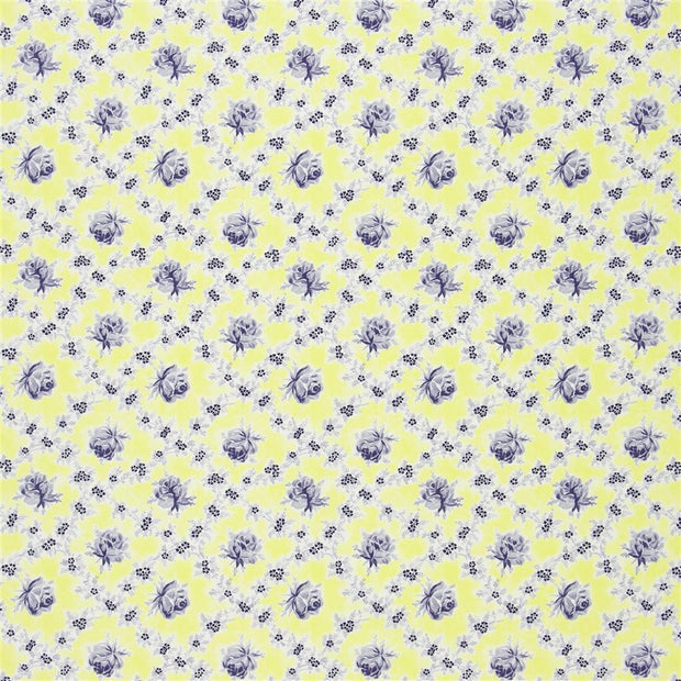 Wild Rose - Primrose