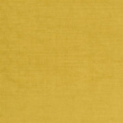 Glenville - Primrose