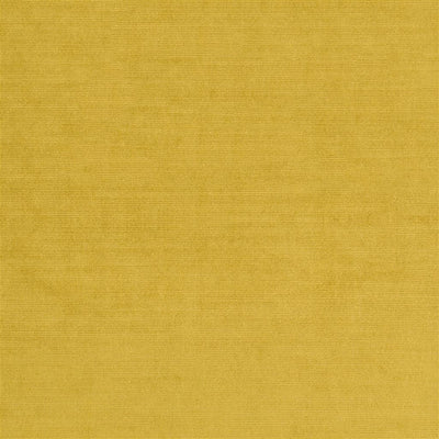 Glenville - Primrose