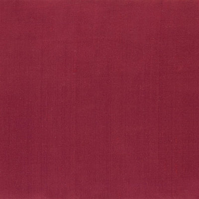 Amboise - Crhysantemum