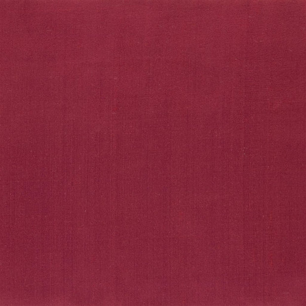 Amboise - Crhysantemum