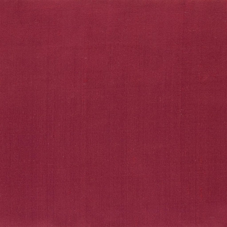 Amboise - Crhysantemum