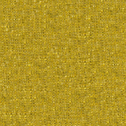 Skipton - Alchemilla