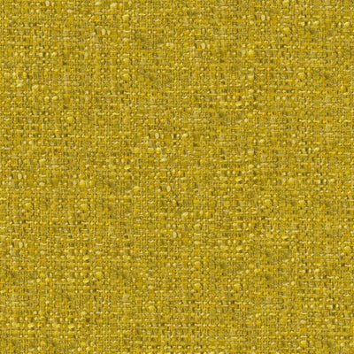 Skipton - Alchemilla