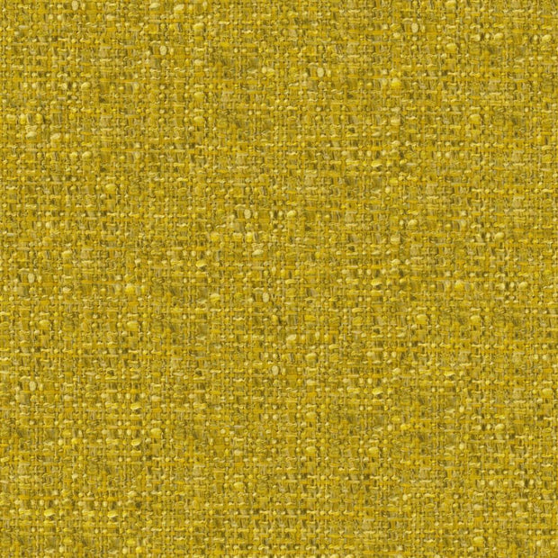 Skipton - Alchemilla