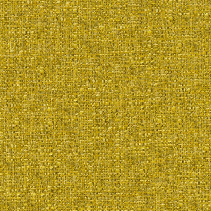 Skipton - Alchemilla