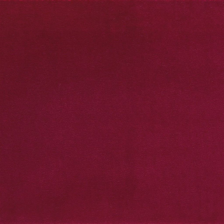 Varese - Chrysanthemum