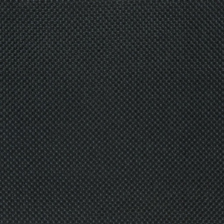 Catalan - Raven (dg)