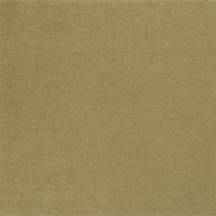 Rapallo - Driftwood 100m