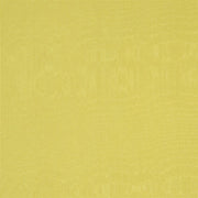 Chinaz - Butterscotch