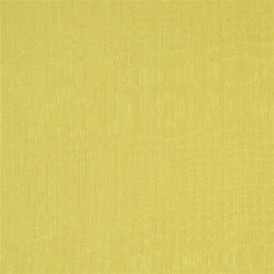 Chinaz - Butterscotch