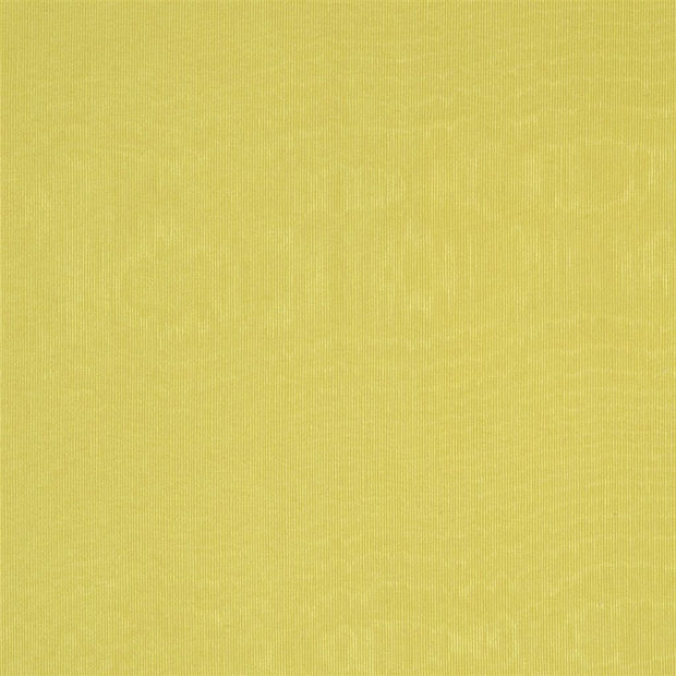 Chinaz - Butterscotch