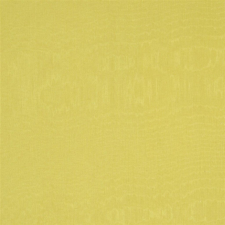 Chinaz - Butterscotch