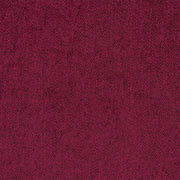 Ribera - Scarelt (dg)