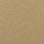 Kinmel - Shore Lichen