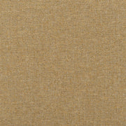 Watkin - Shore Lichen