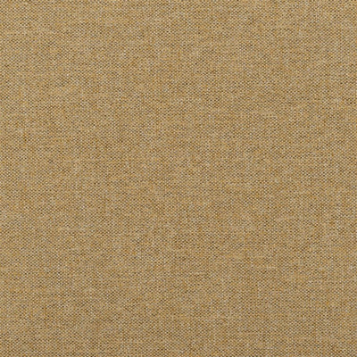 Watkin - Shore Lichen