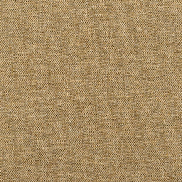 Watkin - Shore Lichen