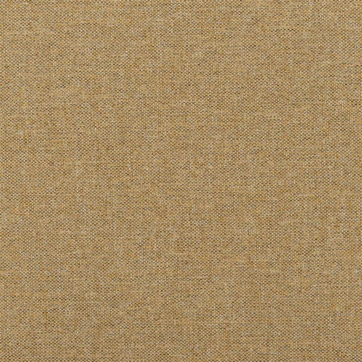 Watkin - Shore Lichen