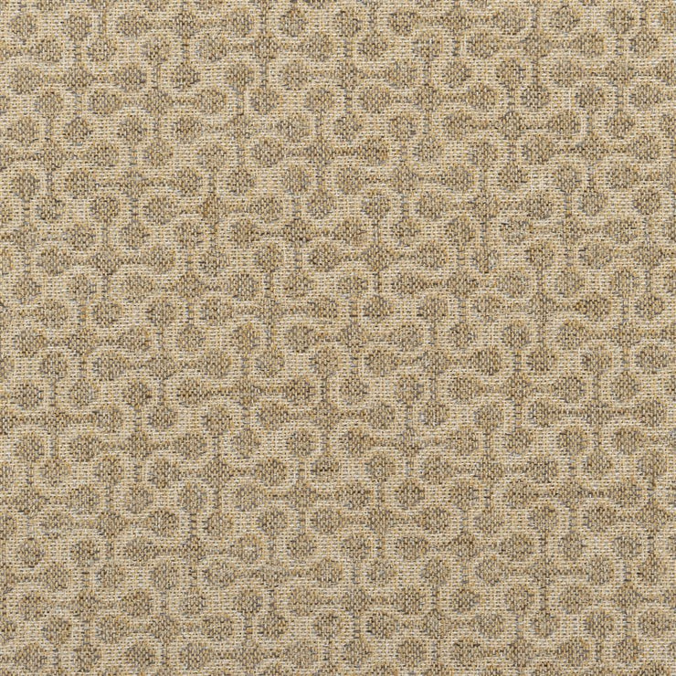 Derwen - Shore Lichen