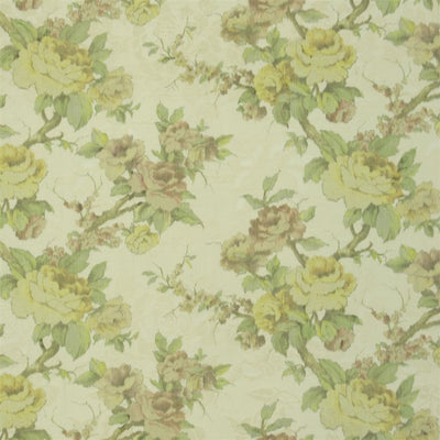 Bourbon Rose - Coral