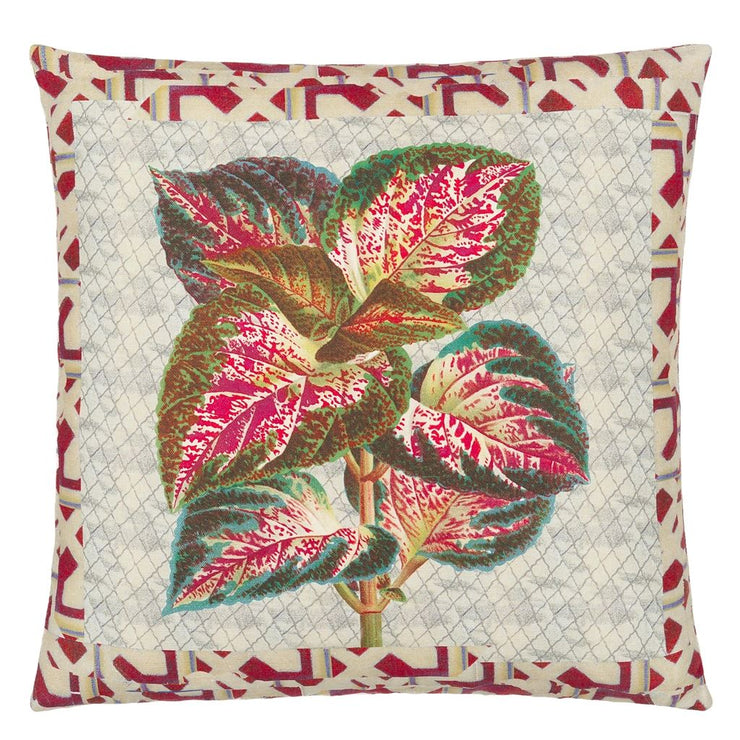 John Derian Chanterelle Carmine Cushion