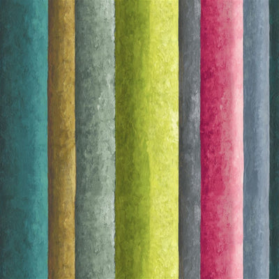 Rayure Chinoise - Alchemilla