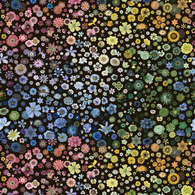 Jardin des Hesperides - Multicolore