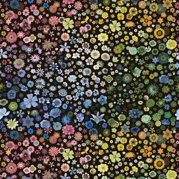 Jardin des Hesperides - Multicolore