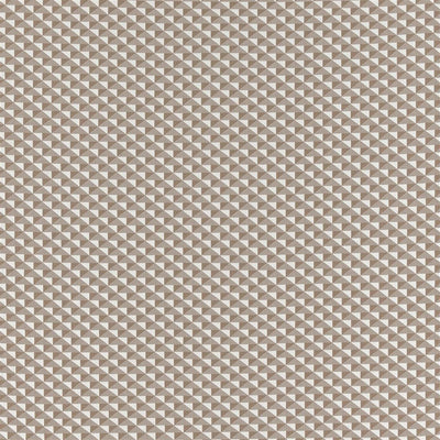 Tarakan Outdoor - Birch