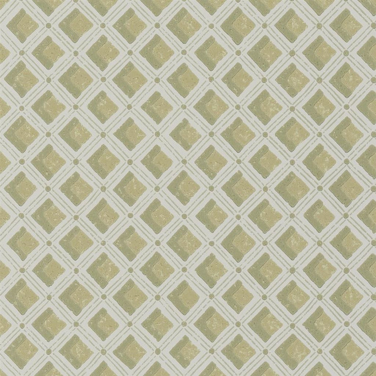 Amsee Geometric Moss