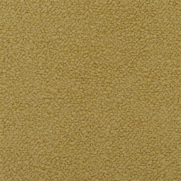 Cormo - Acacia/Ochre tbc