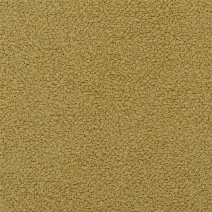 Cormo - Acacia/Ochre tbc