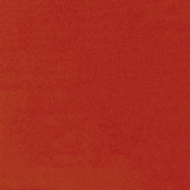 English Riding Velvet - Carrot