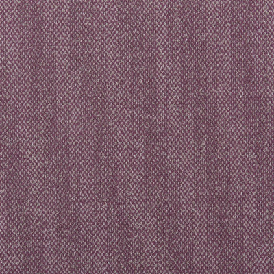 Torrington - Hibiscus