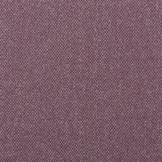 Torrington - Hibiscus