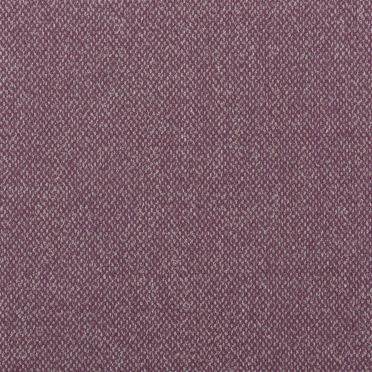 Torrington - Hibiscus