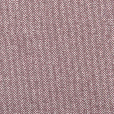 Torrington - Tuberose