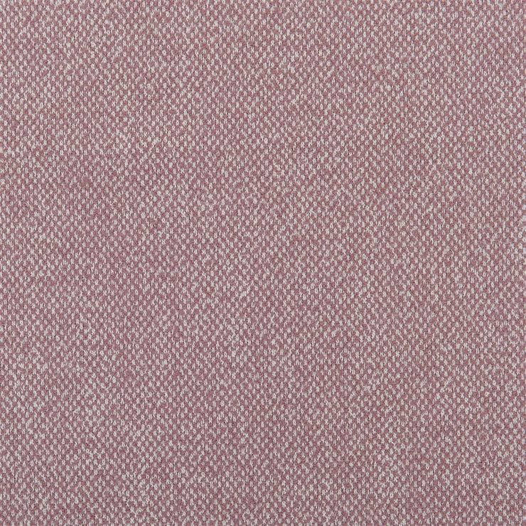 Torrington - Tuberose