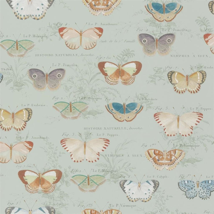 Butterfly Studies Eau de Nil