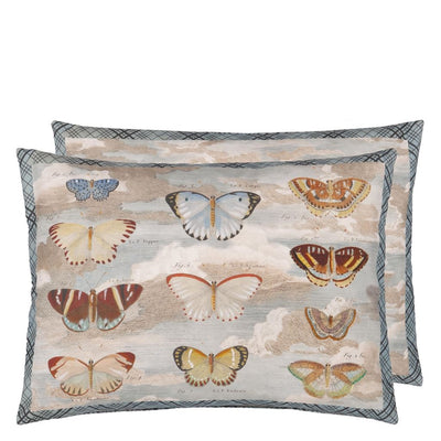 Butterfly Studies Parchment Cushion